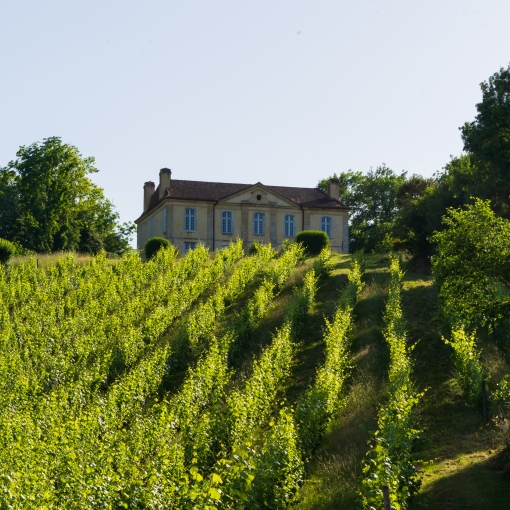 Passez une nuit au coeur de notre vignoble grâce à France Passion