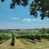 Venez découvrir notre vignoble, nos cuvées & notre histoire