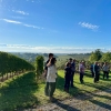 Atelier 3 | Vendanges en vert & effeuillage