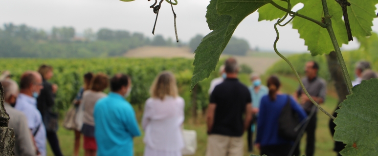 Le Vin au fil des Sens